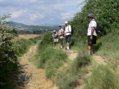 5 etapa  Puente la Reina- Estella