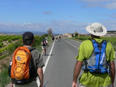 7 etapa   Los Arcos     Logroño   28 km