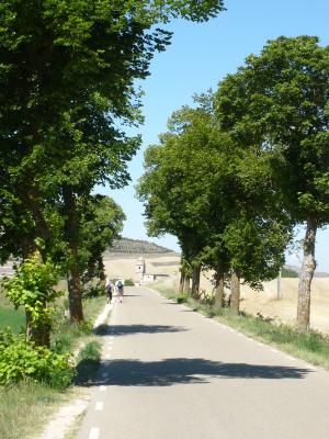 14 etapa Hornillos - Castrojeriz   22 km