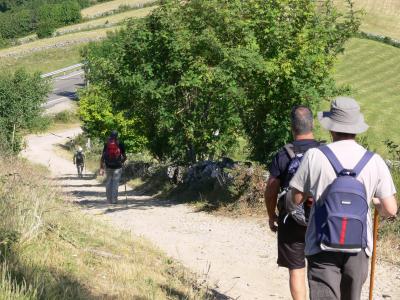 32 km duros, 8,30 h    maravilloso paisaje.   O Cebreiro y Padornelo marcarán a los peregrinos