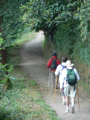 En Sarria   24  km.  final  por ahora.  Otra vez calor