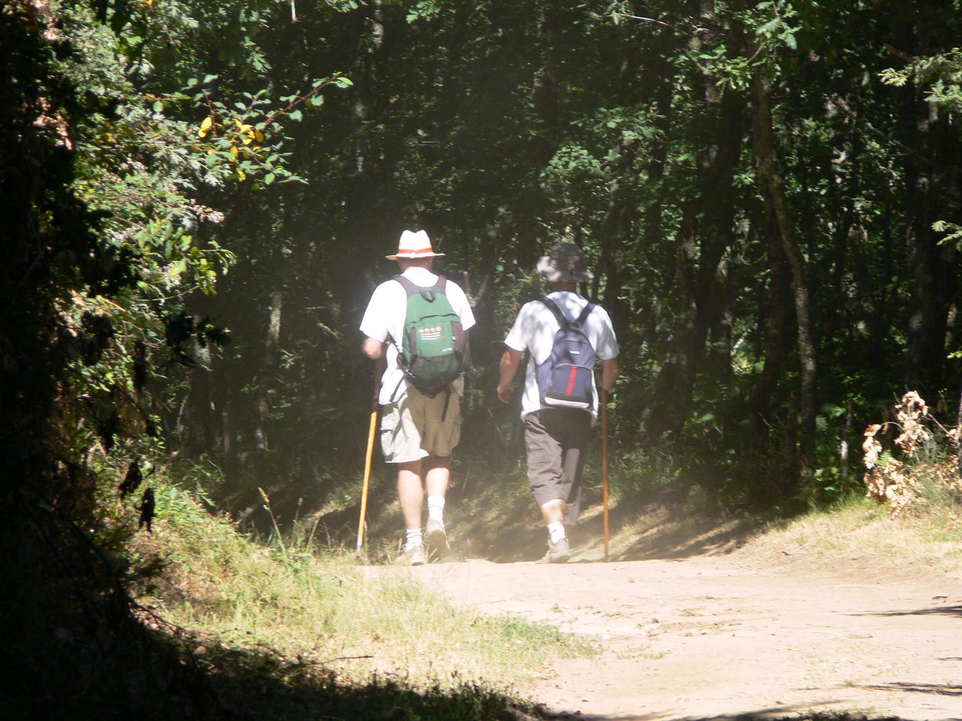 En Sarria   24  km.  final  por ahora.  Otra vez calor